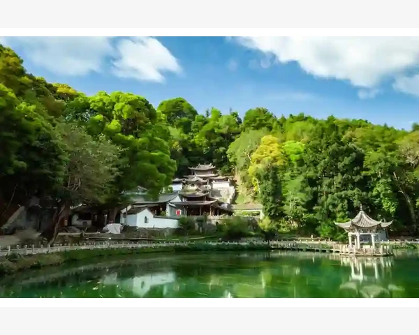 年轻人缺钙吃什么补钙？解决骨质疏松问题，还需中医科普！